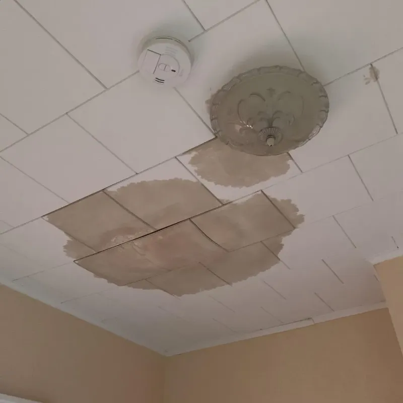 Ceiling Water Damage Repair in Monmouth, ME