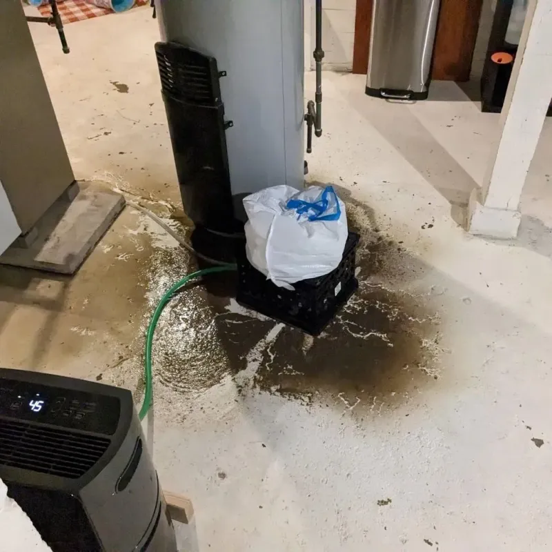 Sewage Backup Cleanup Service in Monmouth, ME